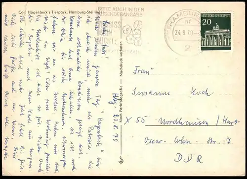 POSTKARTE GRUSS AUS CARL HAGENBECK'S TIERPARK HAMBURG STELLINGEN ZOO ZEBRA STRAUSS GIRAFFE SEELÖWE jardin zoologique