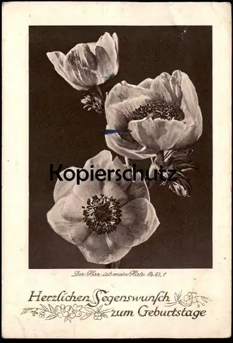 ALTE POSTKARTE HERZLICHEN SEGENSWUNSCH ZUM GEBURTSTAGE 1933 DER HERR IST MEIN HIRTE Kiefel Blume Geburtstag birthday