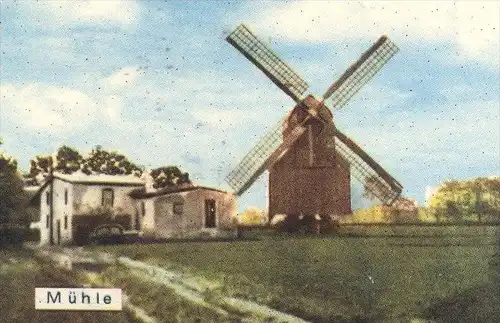 ÄLTERE POSTKARTE GRUSS AUS BOHNHORST MÜHLE TILLY LINDE GASTHAUS ZUR POST BAUM tree VW Opal molen windmill Warmsen Uchte