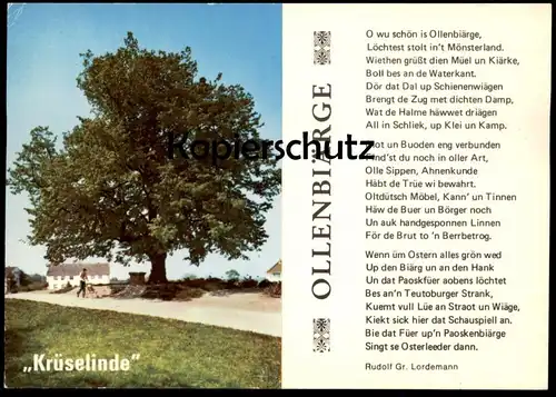 POSTKARTE KRÜSELINDE OLLENBIÄRGE ALTENBERGE LINDE BAUM TREE ARBRE Tilleul Linden Plattdeutsch Dialekt dialect postcard