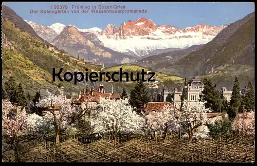 ALTE POSTKARTE FRÜHLING IN BOZEN-GRIES DER ROSENGARTEN VON WASSERMAUERPROMENADE Bolzano Alto Adige Val Gardena Dolomiti