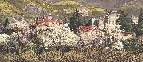 ALTE POSTKARTE FRÜHLING IN BOZEN-GRIES DER ROSENGARTEN VON WASSERMAUERPROMENADE Bolzano Alto Adige Val Gardena Dolomiti