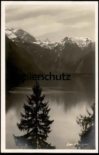 ÄLTERE POSTKARTE DER KÖNIGSEE BAYERN Königssee Ottmar Zieher Schönau cpa postcard AK Ansichtskarte