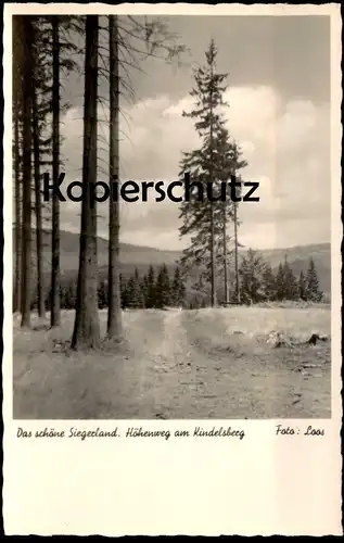 ALTE POSTKARTE DAS SCHÖNE SIEGERLAND HÖHENWEG AM KINDELSBERG bei Kreuztal Foto Loos cpa postcard AK Ansichtskarte