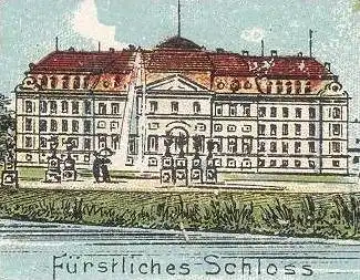 ALTE LITHO POSTKARTE GRUSS AUS DONAUESCHINGEN TOTAL BEZIRKSAMT SCHLOSS EVANGELISCHE KIRCHE DONAUQUELLE cpa postcard AK
