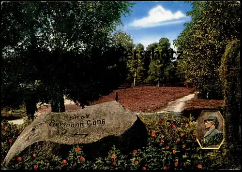 ÄLTERE POSTKARTE HERMANN LÖNS GRAB LÜNEBURGER HEIDE Tietlinger Wacholderpark zw. Fallingbostel & Walsrode funeral grave