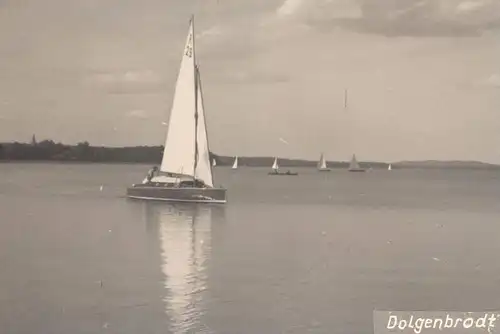 ALTE POSTKARTE DOLGENBRODT HEIDESEE SEEbei Königswusterhausen Segelboot Sailing boat Voilier Yole postcard Ansichtskarte