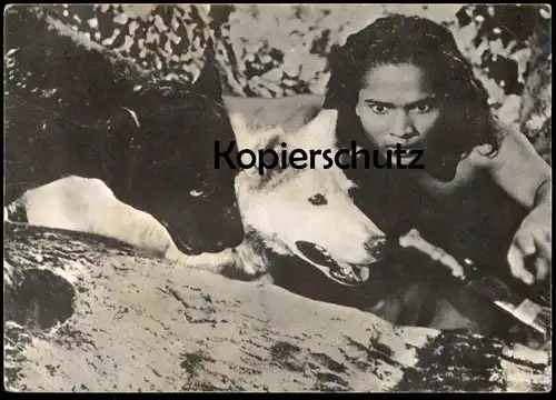 ALTE KARTE DAS DSCHUNGELBUCH MOGLI MIT WOLF UND PANTHER Phantère Loup The jungle book Rudyard Kipling Kuno's Film