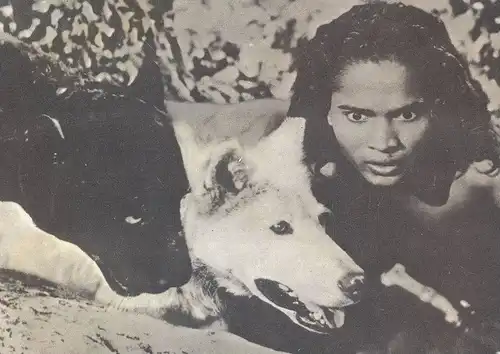 ALTE KARTE DAS DSCHUNGELBUCH MOGLI MIT WOLF UND PANTHER Phantère Loup The jungle book Rudyard Kipling Kuno's Film