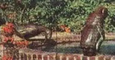 POSTKARTE BAD ROTHENFELDE KINDERBRUNNEN Brunnen children fountain fontaine des enfants Ente duck canard cpa postcard AK