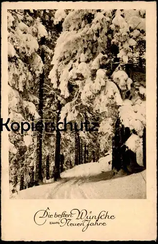 ALTE POSTKARTE DIE BESTEN WÜNSCHE ZUM NEUEN JAHRE NEUJAHR new year nouvel an Schnee Snow Neige Winter Hiver fir spruce