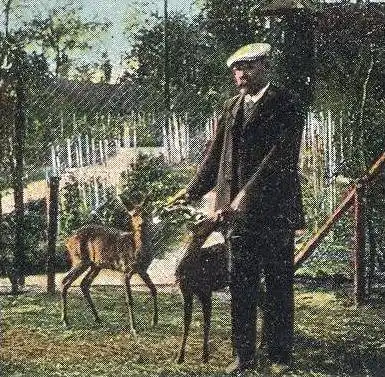 ALTE POSTKARTE PARK HERRENHAIDE BEI BURGSTÄDT BARBAROSSA-HÖHLE IRRGARTEN REH DEER CHEVREUIL Parque Parc postcard cpa AK