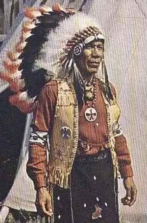 ÄLTERE POSTKARTE SENECA INDIANS ART JOHNNYJOHN Indianer Indians Indien Indian Allegany State Park, N. Y.