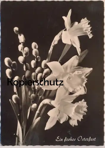 ÄLTERE POSTKARTE BLUMEN NARZISSEN EIN FROHES OSTERFEST Narcisse Daff Daffodil Crocus Holland Flowers Fleurs cpa postcard