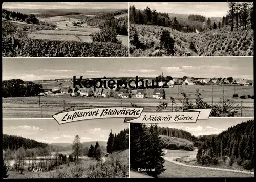 ÄLTERE POSTKARTE BLEIWÄSCHE WALDKREIS BÜREN NETTETAL AATAL DÜSTERTAL LÜLINGSTAL BAD WÜNNENBERG Ansichtskarte AK postcard