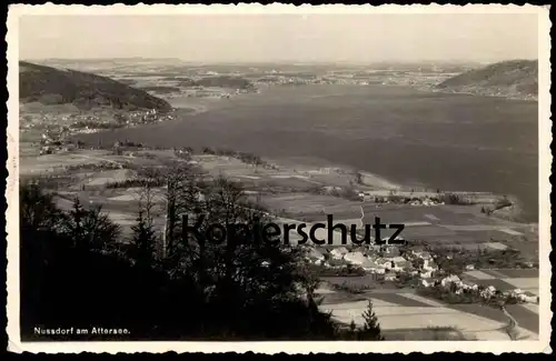 ALTE POSTKARTE NUSSDORF AM ATTERSEE BLICK AUF DEN SEE Österreich Austria Autriche cpa postcard AK Ansichtskarte