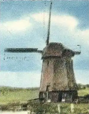 ÄLTERE POSTKARTE BERGEN DAMLANDERMOLEN Holland Nederland Windmühle Mühle Mill Moulin Windmill Molen Kuh cow vache cpa AK