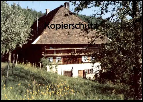 ÄLTERE POSTKARTE BAUERNHOF BAUERNHAUS BLUMENWIESE WIESE SÜDDEUTSCHLAND KIRSCHBAUM cpa postcard AK Ansichtskarte
