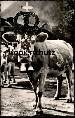 ÄLTERE POSTKARTE DIE GLOCKENKUH ALMABTRIEB BAYRISCHZELL KUH GLOCKE bell clarine cloche de vache sonnaille cowbell cpa AK