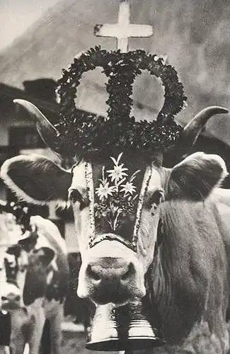 ÄLTERE POSTKARTE DIE GLOCKENKUH ALMABTRIEB BAYRISCHZELL KUH GLOCKE bell clarine cloche de vache sonnaille cowbell cpa AK