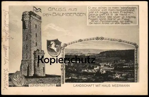 ALTE POSTKARTE GRUSS AUS DEN BAUMBERGEN LONGINUSTURM HAUS MEERMANN NOTTULN HAVIXBECK BILLERBECK Baumberge cpa postcard