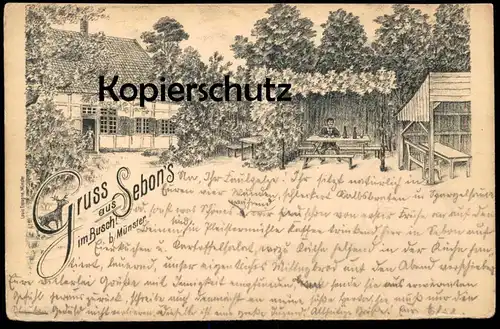 ALTE LITHO POSTKARTE GRUSS AUS SEBON'S BUSCH BEI MÜNSTER 1896 Westfalen Muenster Reh chevreuil Gremmendorf Vorläufer
