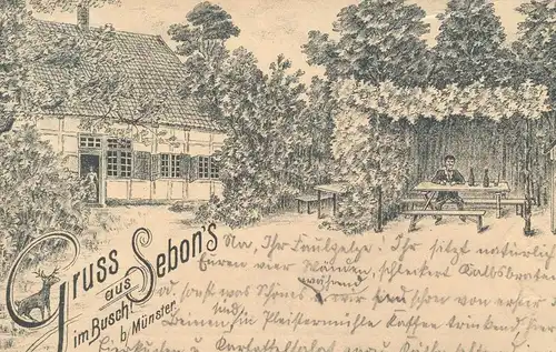 ALTE LITHO POSTKARTE GRUSS AUS SEBON'S BUSCH BEI MÜNSTER 1896 Westfalen Muenster Reh chevreuil Gremmendorf Vorläufer