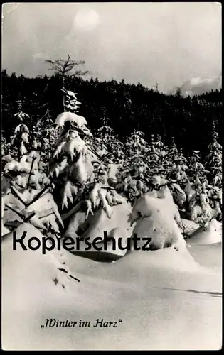 ÄLTERE POSTKARTE WINTER IM HARZ SCHNEE TANNE Verlag Graphokopie H. Sander Berlin (Ost) snow neige hiver Sachsen-Anhalt