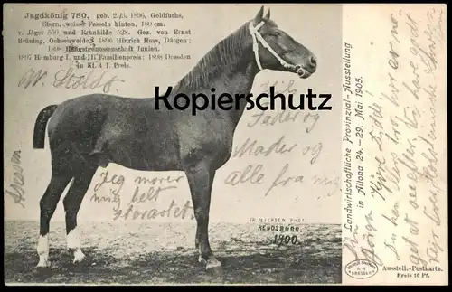 ALTE POSTKARTE HAMBURG ALTONA LANDWIRTSCHAFTLICHE AUSSTELLUNG PFERD JAGDKÖNIG horse racehorse cheval de course Rennpferd