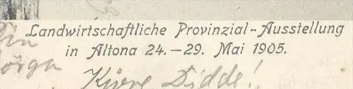 ALTE POSTKARTE HAMBURG ALTONA LANDWIRTSCHAFTLICHE AUSSTELLUNG PFERD JAGDKÖNIG horse racehorse cheval de course Rennpferd