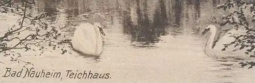 ALTE POSTKARTE BAD NAUHEIM TEICHHAUS 1932 Schwan swan cygne cpa postcard AK Ansichtskarte Stempel Herz-Heilbad
