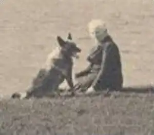 ALTE POSTKARTE LANGBALLIGAU BLICK AUF HOHENAU Langballig Schäferhund chien de berger german shepherd cpa postcard AK
