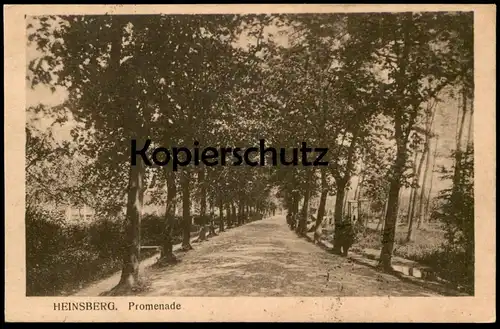 ALTE POSTKARTE HEINSBERG PROMENADE Allee alley Baum arbre tree cpa postcard Ansichtskarte AK belgische Militärpost