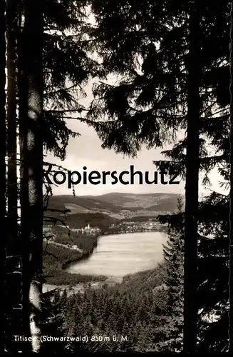 ÄLTERE POSTKARTE TITISEE-NEUSTADT 850m ü. M. Verlag Karl Alber Schwarzwald Foret-Noire black forest cpa postcard