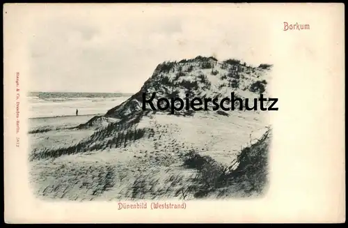 ALTE POSTKARTE BORKUM DÜNENBILD WESTSTRAND Strand beach plage Insel cpa postcard AK Ansichtskarte