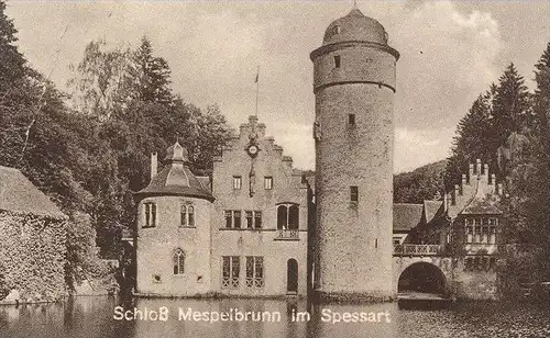 ALTE POSTKARTE SCHLOSS MESPELBRUNN SPESSART BRUNNEN GRUFTKAPELLE WILDSCHWEINFÜTTERUNG castle chateau cpa postcard AK