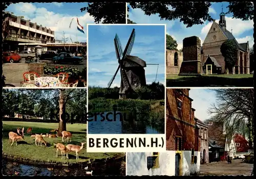 ÄLTERE POSTKARTE BERGEN NORD-HOLLAND Mühle Windmühle windmill mill moulin à vent molen windmolen Rehe roe deer chevreuil