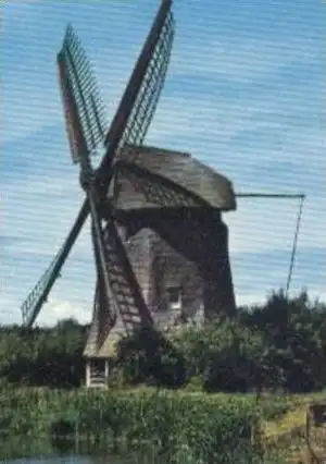 ÄLTERE POSTKARTE BERGEN NORD-HOLLAND Mühle Windmühle windmill mill moulin à vent molen windmolen Rehe roe deer chevreuil