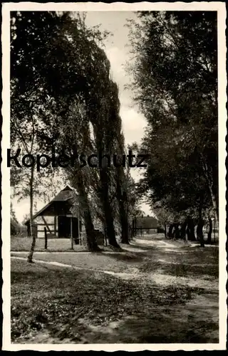 ALTE POSTKARTE ZINGST BISMARCKSTRASSE 1940 bei Barth Ribnitz-Damgarten Prerow Allee alley Bauernhaus farm house cpa AK