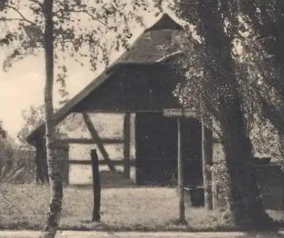 ALTE POSTKARTE ZINGST BISMARCKSTRASSE 1940 bei Barth Ribnitz-Damgarten Prerow Allee alley Bauernhaus farm house cpa AK