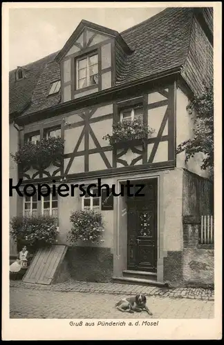 ALTE POSTKARTE GRUSS AUS PÜNDERICH BEI ZELL MOSEL Landkreis Cochem mit Hund dog chien Schneiders Wein Ansichtskarte cpa