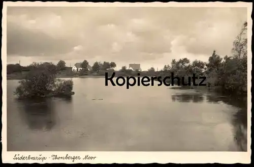 ALTE POSTKARTE SÜDERBRARUP THORSBERGER MOOR marécage Halbinsel Angeln b. Kappeln Schleswig postcard cpa Ansichtskarte