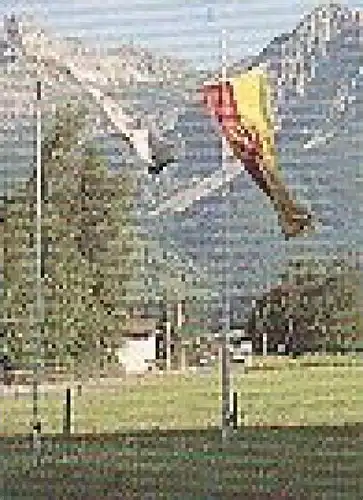 POSTKARTE FISCHEN IM ALLGÄU LANDHAUS ANDREA BURGI & JOHANNES MAYR Opel Flaggen Flagge flag Ansichtskarte AK postcard cpa