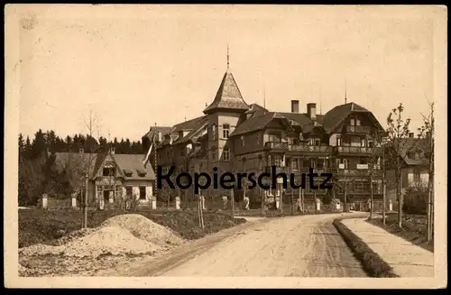 ALTE POSTKARTE KÖNIGSFELD SCHWARZWALD DONISWALDHOTEL HOTEL DONISWALD ERDHAUFEN 1924 Ansichtskarte AK cpa postcard