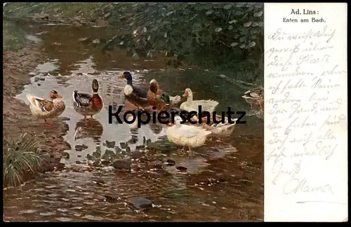 ALTE KÜNSTLER POSTKARTE ENTEN AM BACH SIGN. AD. ADOLF LINS 1926 Ente duck canard cane ducks canards