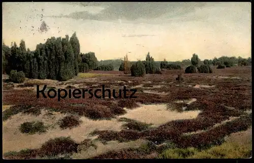 ALTE POSTKARTE LÜNEBURGER HEIDE ALFTENER FLATT BEI SOLTAU GRUSS AUS H. GAUSES GASTHAUS ZUM ANKER LÜNEBURG AK