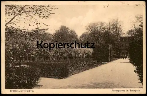 ALTE POSTKARTE BERLIN STEGLITZ ROSENGARTEN IM STADTPARK Rosenbeet Garden Blume Flower Fleur Flowers Rosen Rose postcard