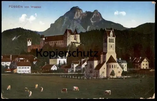 ALTE POSTKARTE FÜSSEN VON WESTEN PANORAMA Kühe Kuh cow cows vache vaches Ansichtskarte Bayern AK cpa postcard