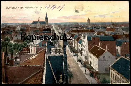ALTE POSTKARTE MÜNSTER WESTFALEN HAMMERSTRASSE Hammer Straße 1909 Ansichtskarte AK cpa postcard