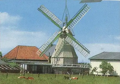 ÄLTERE POSTKARTE GRUSS AUS FRIEDRICHSKOOG Mühle Moulin Mill Windmill Windmühle Molen Windmolen Fischer Fischerei fishing